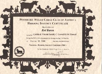 Herding Instinct Certificate 800.jpg